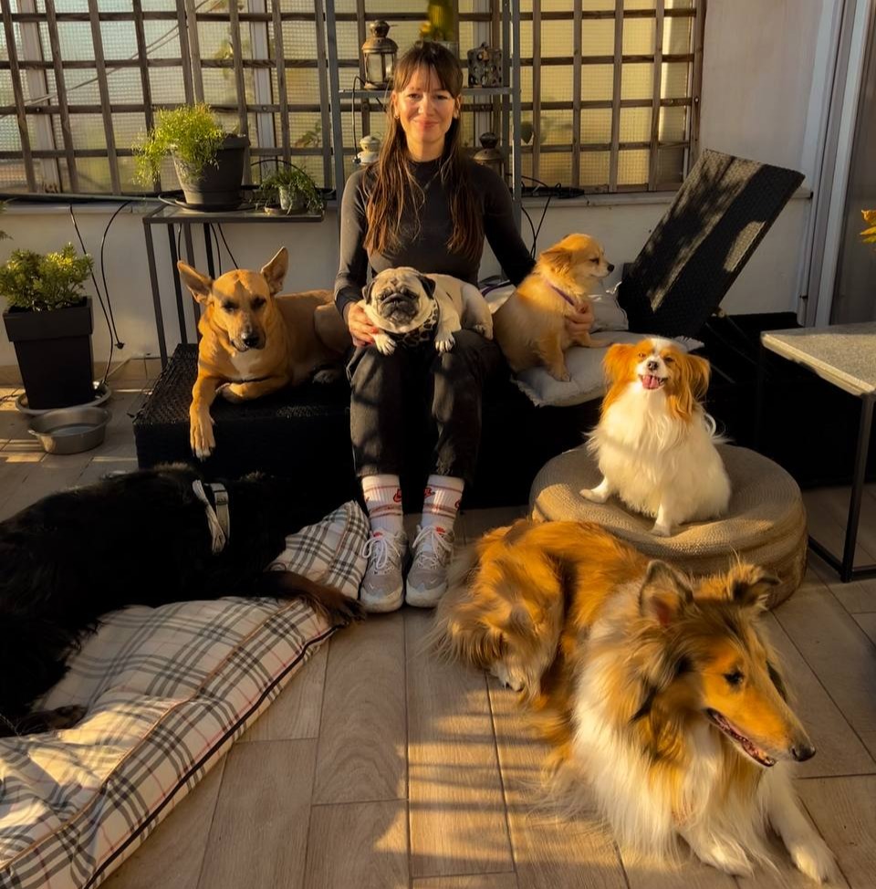 Επαγγελματική φύλαξη σκύλων - Professional dog sitting