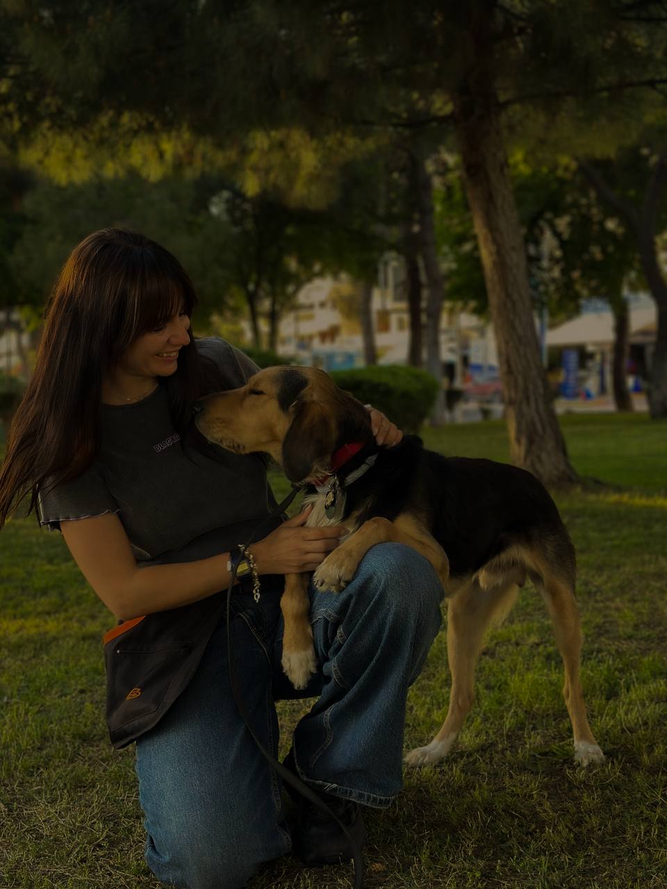 Θετική ενίσχυση εκπαίδευσης σκύλων - Positive reinforcement dog training